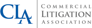 Go Legal Commercial Litigation Association
